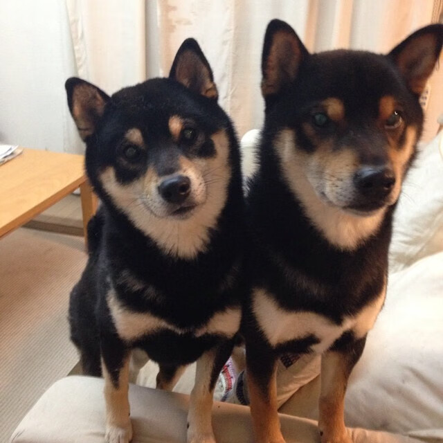 斯通斯的双重夜晚，当足球绝杀照亮另一个球场