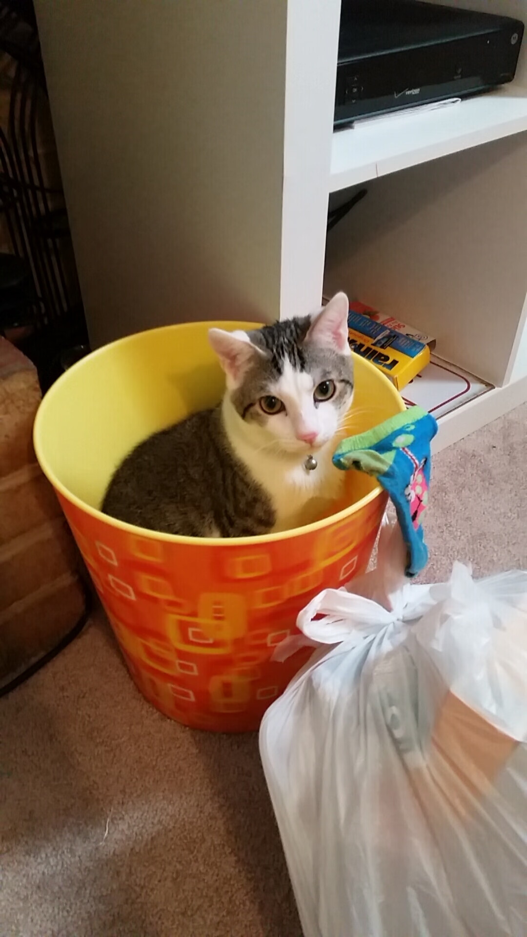 雷火电竞网址-西决生死战，掘金单节轰出史诗级进攻波，彻底击溃步行者