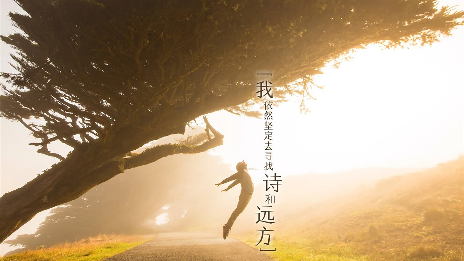 那夜的蓝与红,当努涅斯成为比法尔肯的幽灵