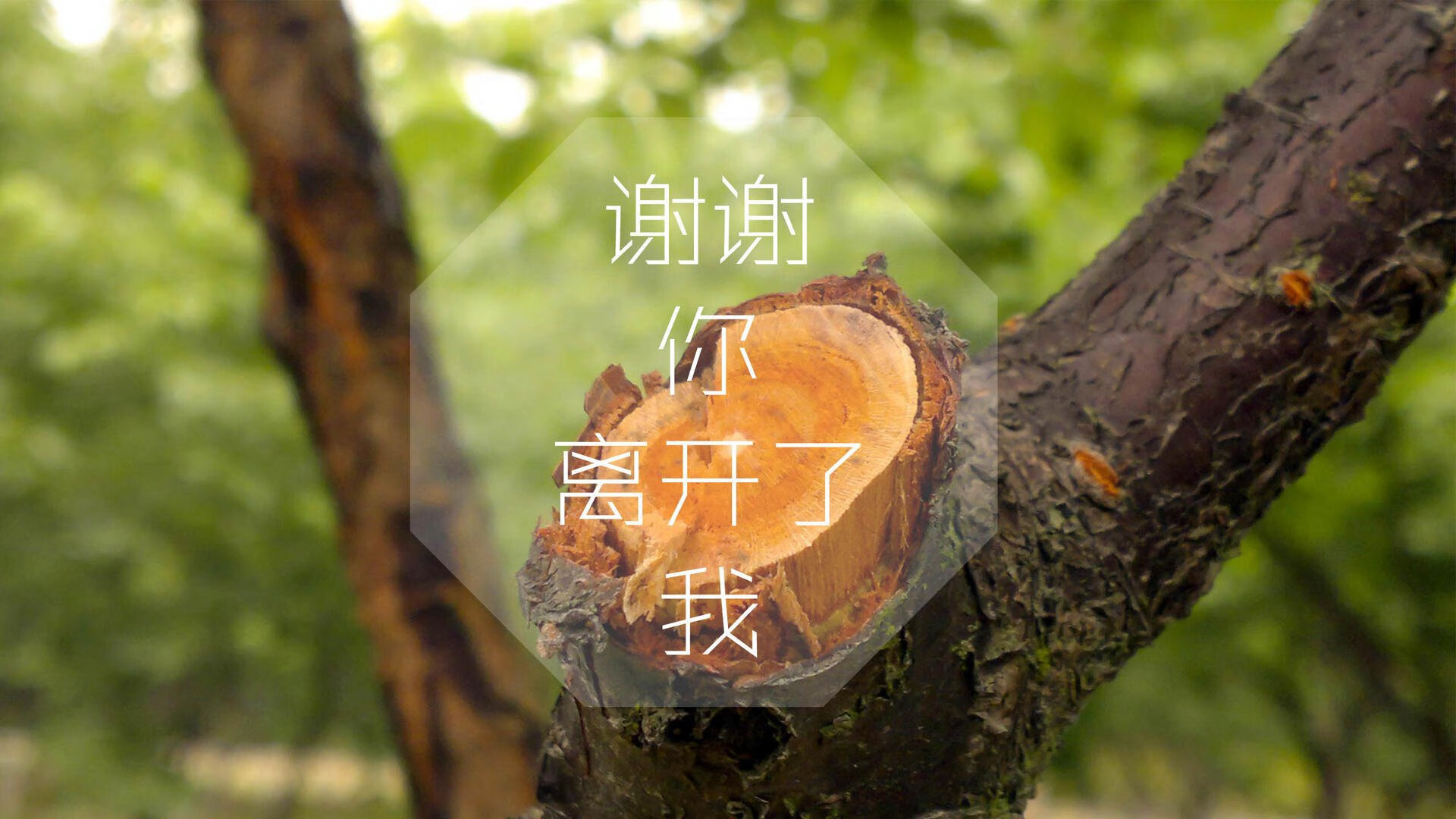 1.红白漩涡,当枫叶之志,撞击航海家的最后荣光